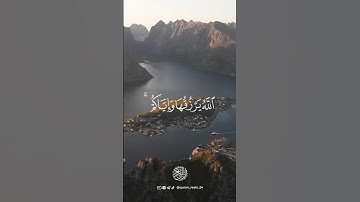 سورة العنكبوت - الآيات [59-60] - القارئ : عــبد الــرحمن مسعـــد .