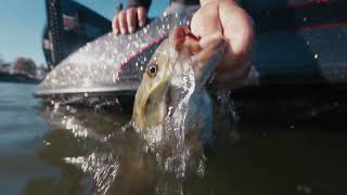 Meet ActiveTarget® 2 XL | The clearest view beneath your boat