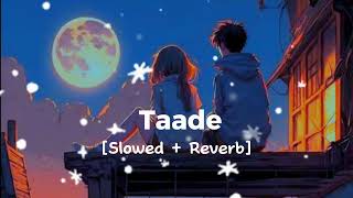 Taade by Vishal Mishra | Ruslaan | Shabbir Ahmed | Sushrii Mishraa | Aayush Sharma | New Hindi Song