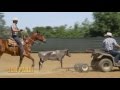Jon Pardi and Roping