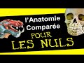 Lets play anatomique avec des aliens 