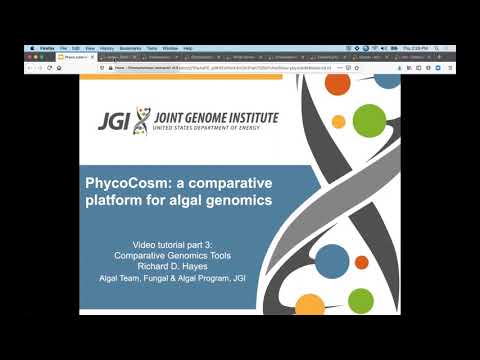 PhycoCosm: Comparative Genomics Tools