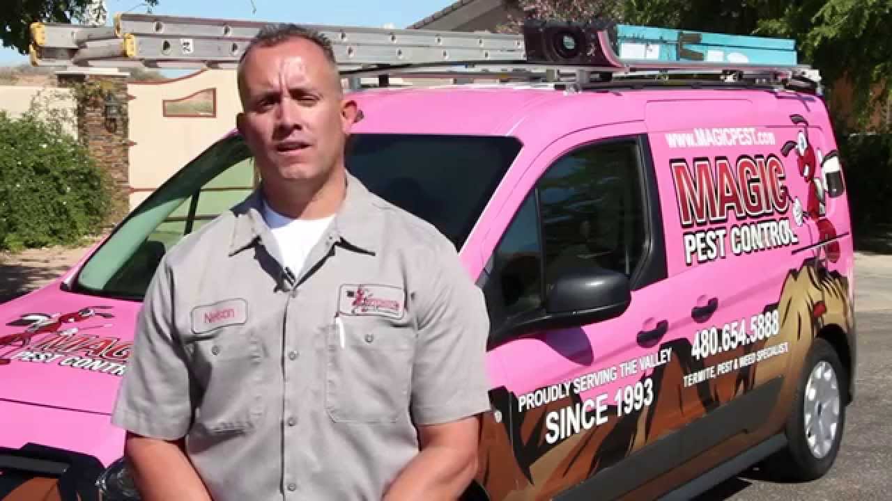 An Introduction to Magic Pest Control - YouTube