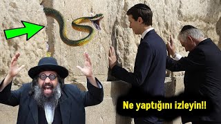 Namaz Kılarken Mescid-I Aksadaki Burak Duvarında Yahudilere Çıkan Yılan Bakın Sonra Ne Oldu