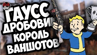 Видео Fallout 76: Гаусс дробовик. Обзор топчика от поселенцев. (автор: Evilgood)