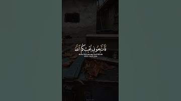 اكتب شي تؤجر عليه ♡✨️ | القارئ على جابر رحمه الله | قرآن كريم