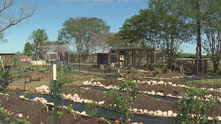 War impacts cost of fertilizer, putting pressure on Central Texas farmers