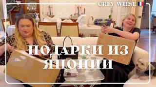 картинка: Вернулись из Вены и дома нас ждал сюрприз