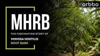What Is MHRB? Complete Mimosa Hostilis Root Bark Guide