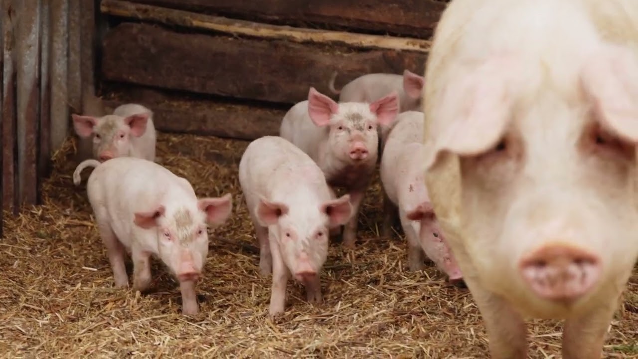 Los profesionales del agro con Jesús Castrillo