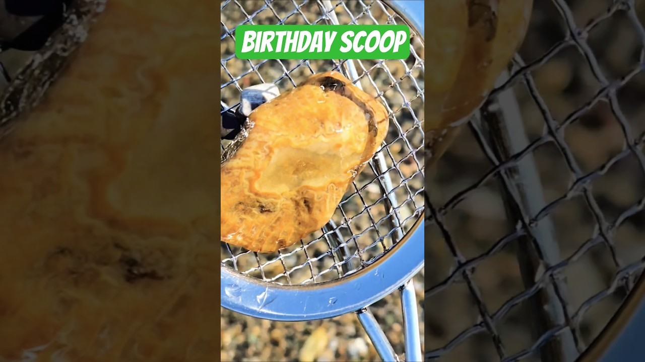 Lake Huron agatized Favosites coral 