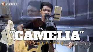 CAMELIA - IRWANSYAH || LIVE COVER VEBRI DIDIT
