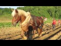 La ferme du matet laurat du concours fermes davenir 2016