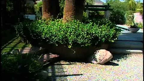 Southwest Xeriscapes - California - Sharon O'Donnell