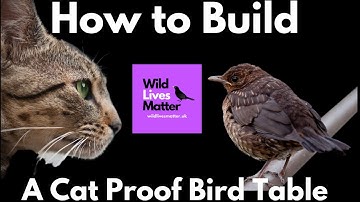 How To Build A Cat Proof Bird Table