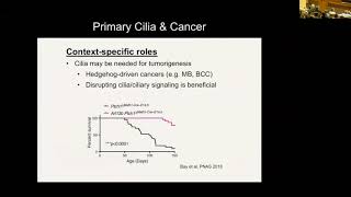 Understanding Primary Cilia: From Basic Biology to Cancer