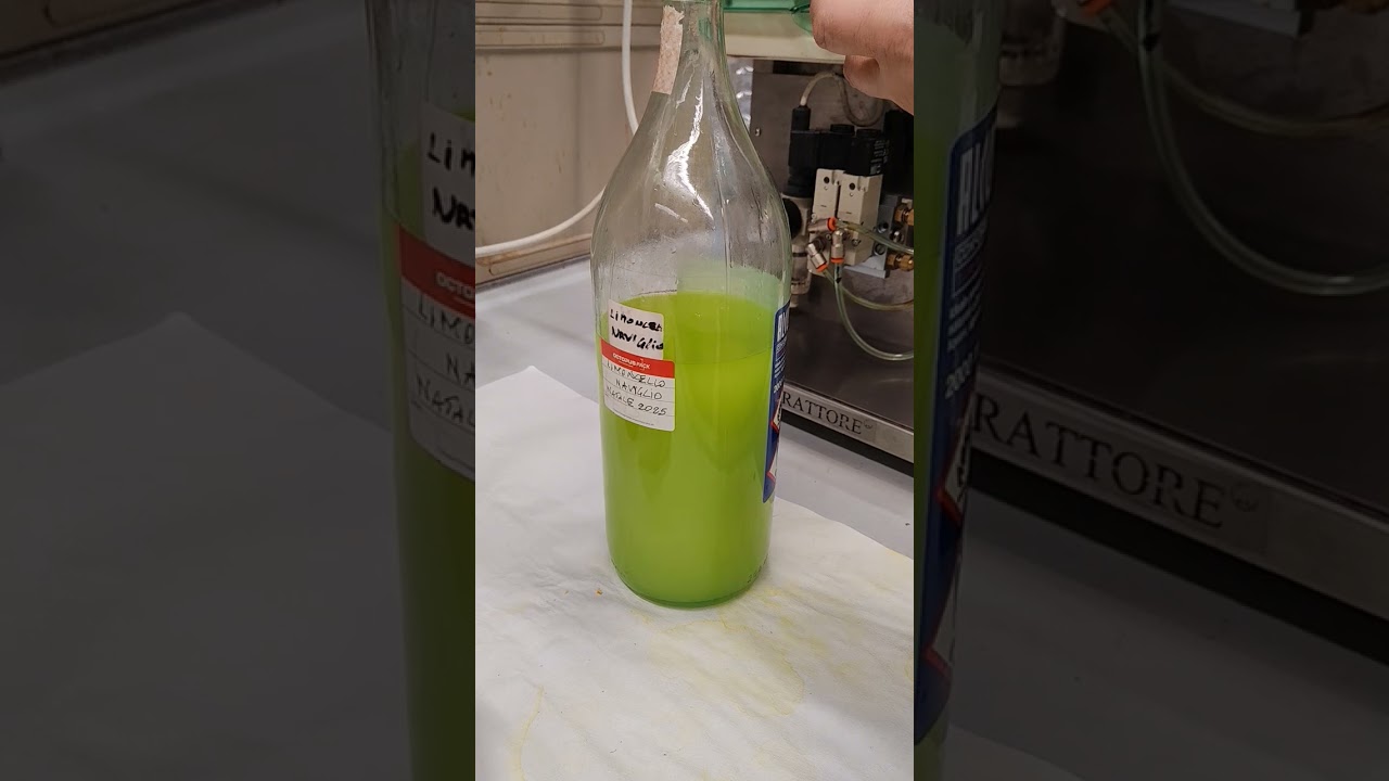 Limoncello con i limoni verdelli di Natale 2025 prodotto in due ore