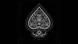 ACE 2.  Echo of truth