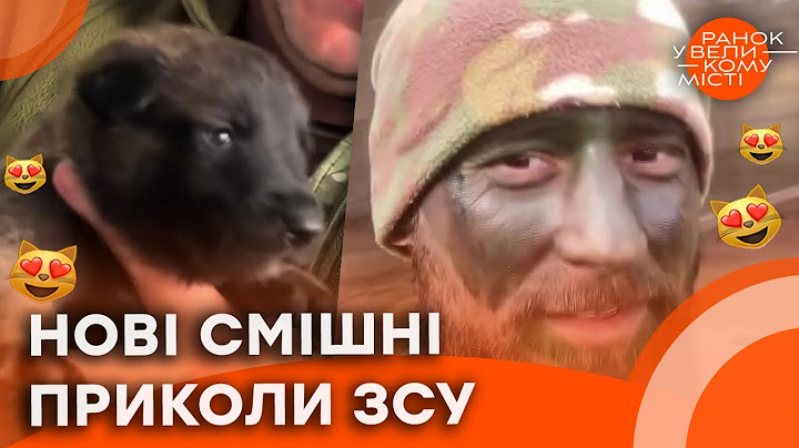 😂 КОМАНДИР ВІДПРАВЛЯЄ за КОРДОН? 🐱 СЕКРЕТНИЙ антидепресант ЗСУ: Кошенята, ЖАРТИ і...