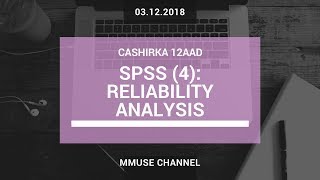 SPSS (4): Reliability Analysis screenshot 5