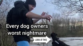On the afternoon walk when we made a shocking discovery 