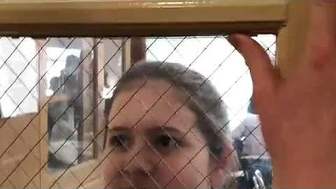 WHY!!!!