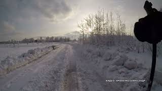 WINTER DAY - SUN AND SNOW. WALKING. RUSSIAN WINTER. MOSCOW REGION.