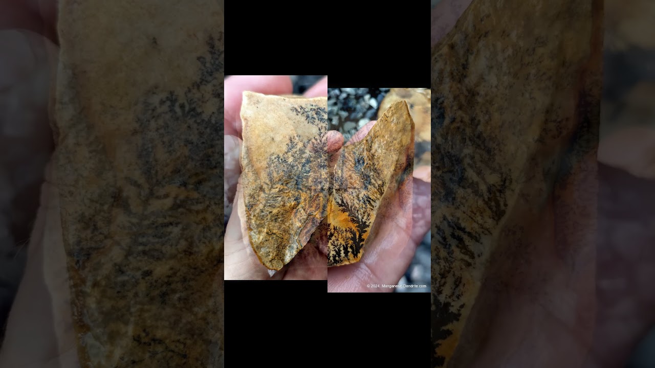 Manganese Dendrites.  Picture Rocks#museum #rocksandminerals  #geology #gemstonecollector #art