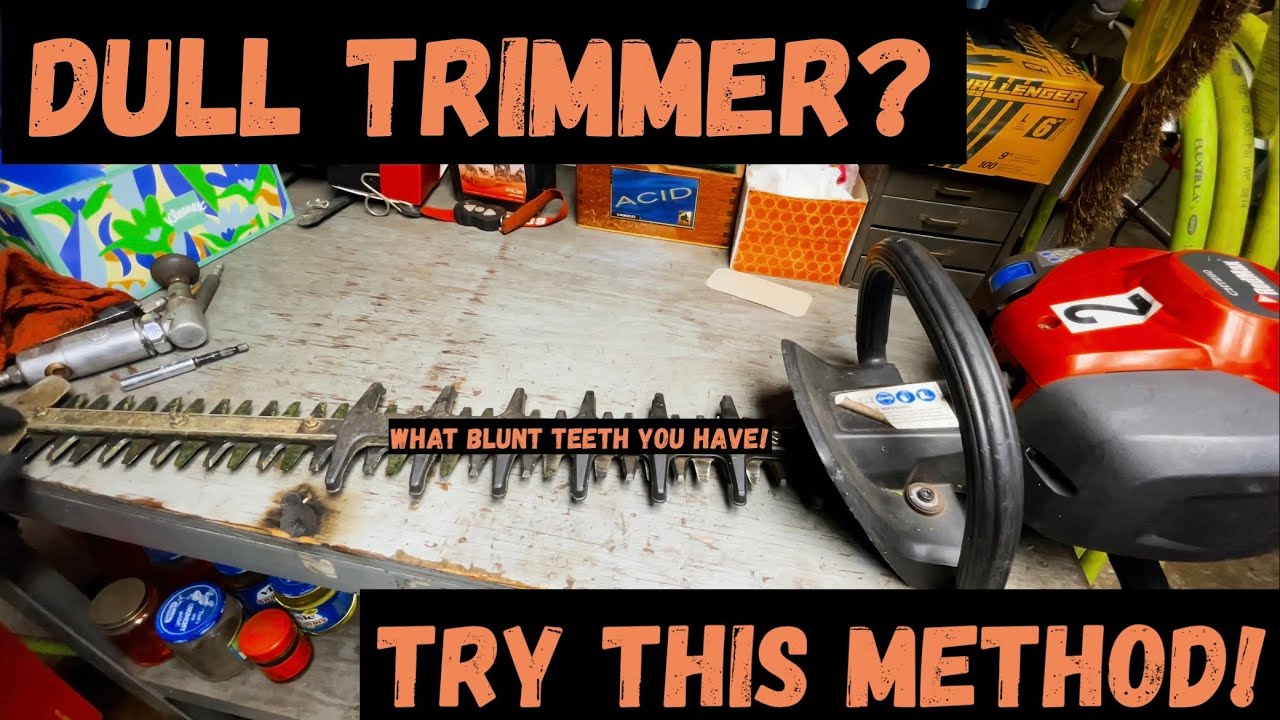 How To Sharpen A Hedge Trimmer - YouTube