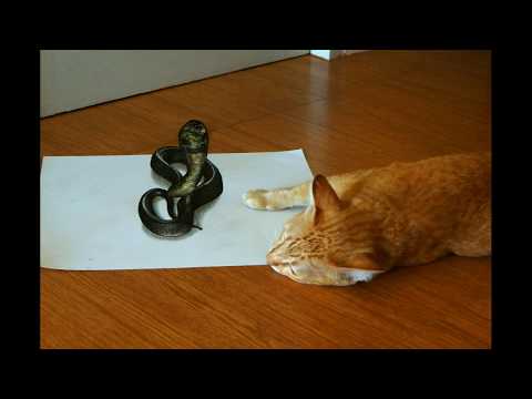 [speedpaint ]speed drawing 3d snake colored pencil