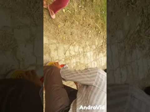 camera iphone 8 plus apk Drop keelback snake