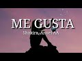 Shakira, Anuel AA - Me Gusta (Letra)