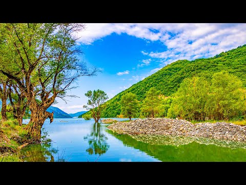 ამბობდი არაგვის ჭალები სხვა ჭალებს არაფრით არ ჰგავსო   1 საათიანი ვერსია