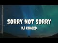 DJ Khaled ft Nas, JAY-Z, James Fauntleroy & Harmonies by The Hive - SORRY NOT SORRY (Lyrics)