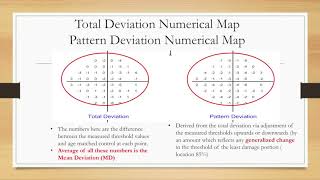 Visual Field Interpretation Part2D
