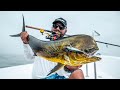 Pesca de DORADOS casteando STICKBAITS en Puerto Vallarta