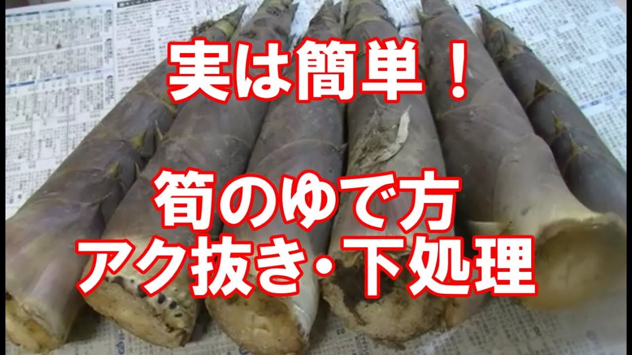 実は簡単 筍の茹で方 下処理 アク抜き How To Boil Bamboo Shoots Youtube