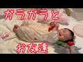 母、娘と遊びたい
