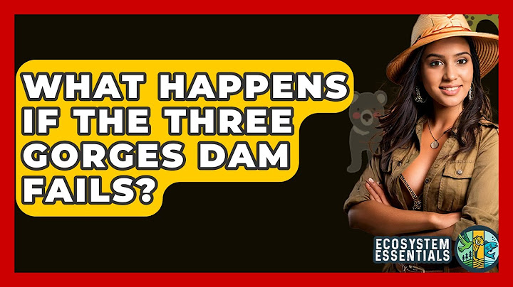 What Happens If The Three Gorges Dam Fails? - Ecosystem Essentials