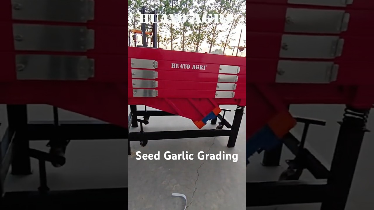 Garlic Clove Sorting Machine Details ready for delivery to USA