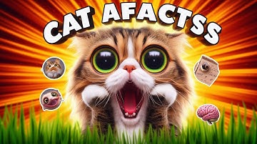 10 Amazing Cat Facts You Didn’t Know! 😺 | Fascinating Feline Secrets Revealed