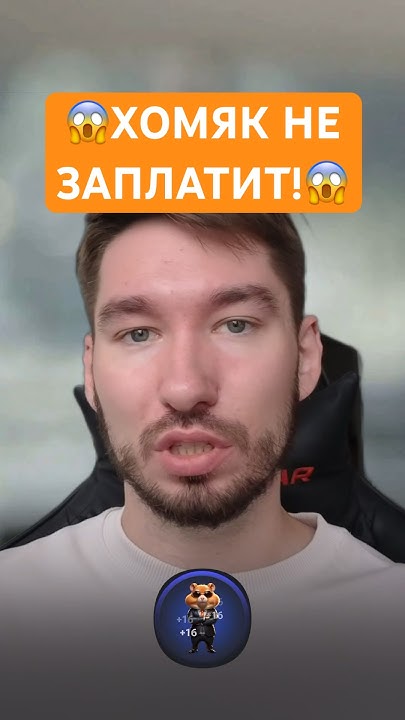😱 ЭТО ЛУЧШЕ ХОМЯКА! Лучшие Проекты для получения AirDrop Бесплатно ...