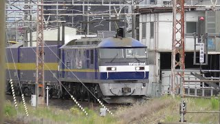 EF210-344 2059レ「西濃カンガルーライナーSS60」＆EF210-335＋コキ 1072レ 大垣駅通過