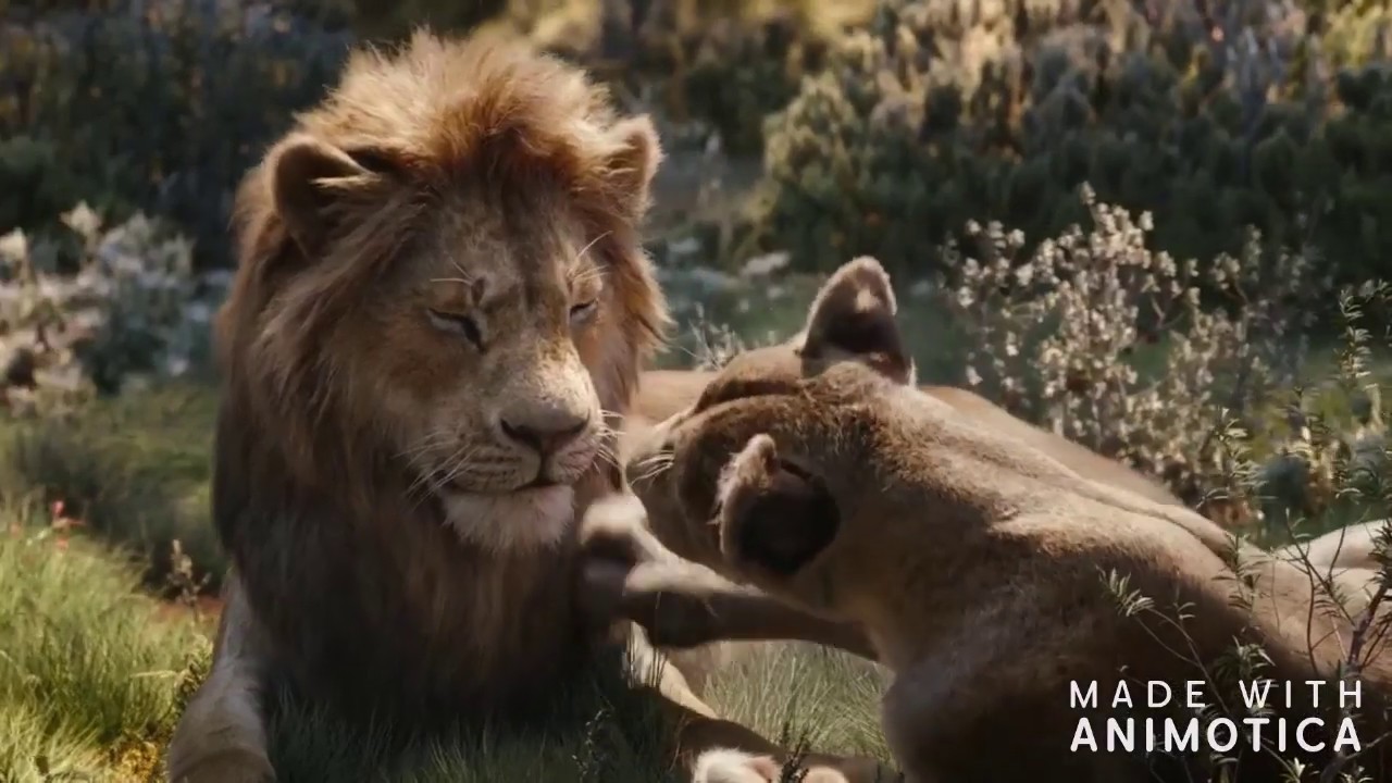 L Amore E Nell Aria Re Leone
