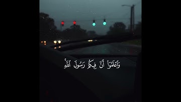 تلاوه بهِيَّه للقارئ أنس العرايشي من سوره الحجرات 