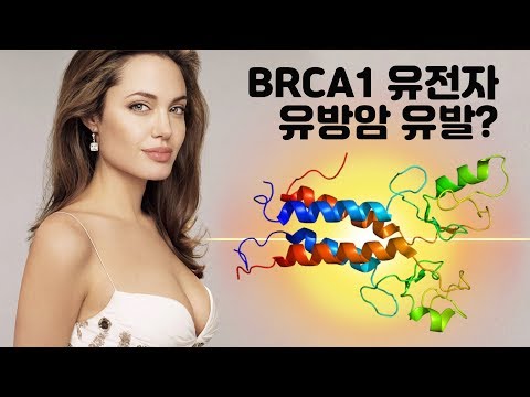 암 #5: 유방암 유전자(BRCA1)의 의미? (기능의학, 영양의학, 예방의학)