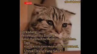 Status Wa Kucing Sedih | Sad Story #shorts