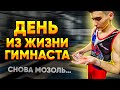 ВЛОГ: ДЕНЬ ИЗ ЖИЗНИ ГИМНАСТА | СНОВА МОЗОЛИ