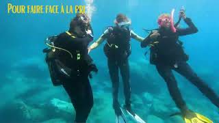 Try Dive French Explanation