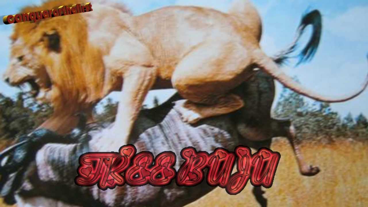 Buju Banton's July 2013 UPDATE (Free Buju Movement VIDEO ) conquerorthefirst